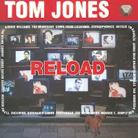 Tom Jones — Burning Down The House (Feat. The Cardigans) — обложка